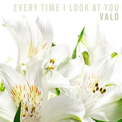 Every Time I Look at You By Valo's cover