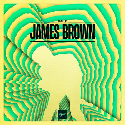 James Brown By IamLit's cover