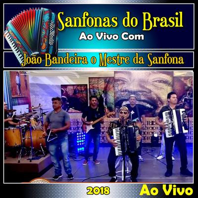 Sanfonas do Brasil Ao Vivo 2018 Com o Mestre da Sanfona's cover