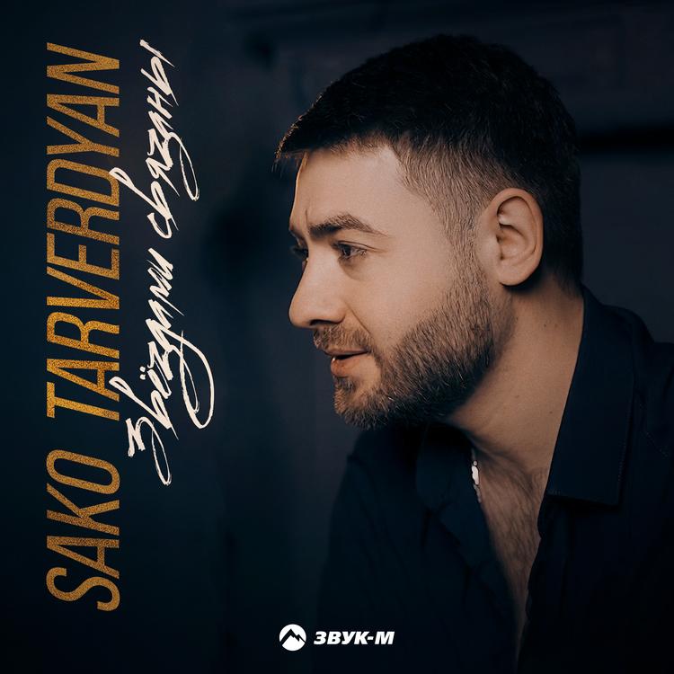 Sako Tarverdyan's avatar image