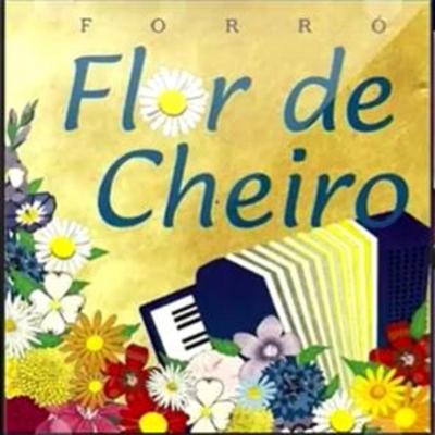 Canção Do Rádio By Forró Flor de Cheiro's cover