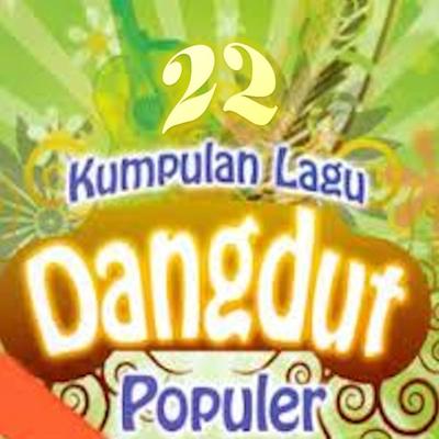 22 Kumpulan Lagu Dangdut Populer's cover
