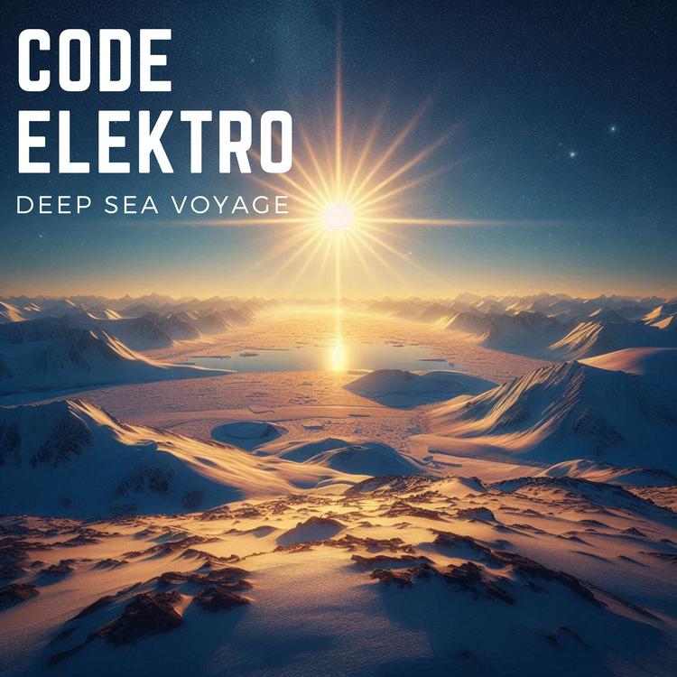 Code Elektro's avatar image