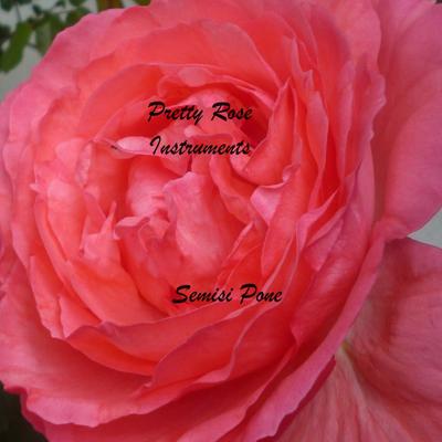 Pretty Rose (Instumental)'s cover