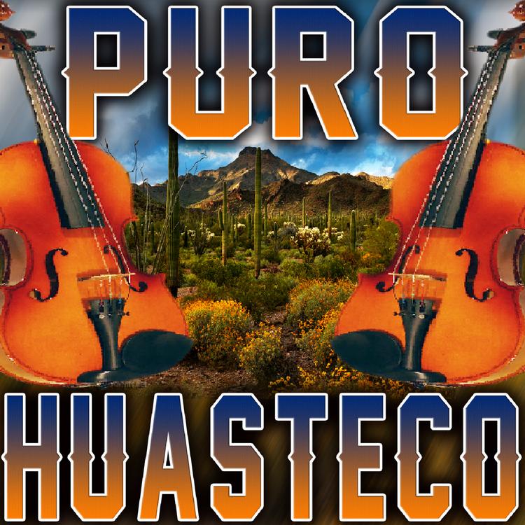 Puro Huasteco's avatar image