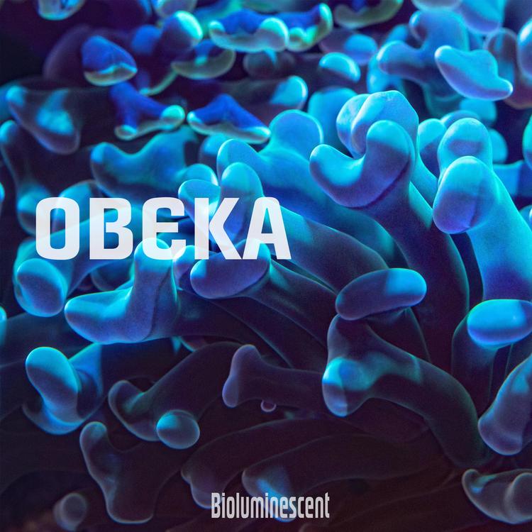 Obeka's avatar image