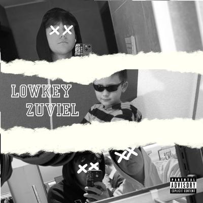 Lowkey Zuviel By Nikitos76's cover