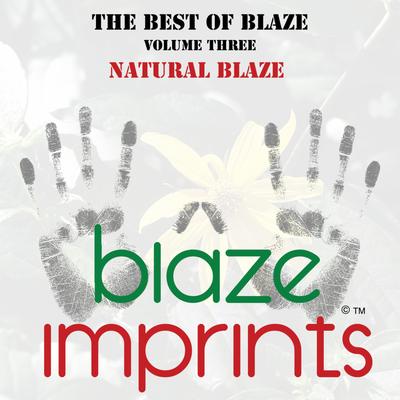 The Best of Blaze, Vol. 3 - Natural Blaze's cover
