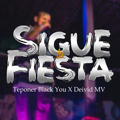 Sigue la Fiesta's cover