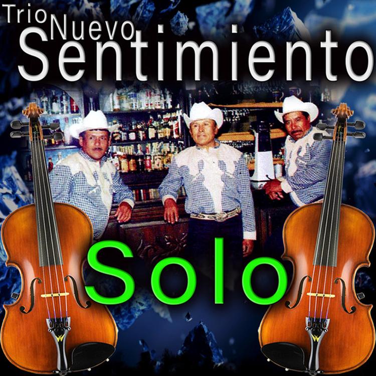 Trio Nuevo Sentimiento's avatar image