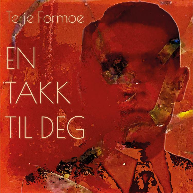 Terje Formoe's avatar image