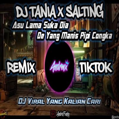 DJ TANIA X SALTING || ASU LAMA SUKA DIA DE YANG MANIS PIPI CONGKA (ins)'s cover
