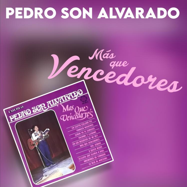 Pedro Son Alvarado's avatar image