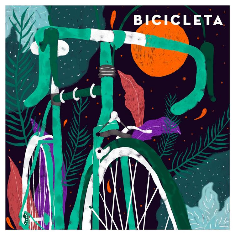 Bicicleta's avatar image