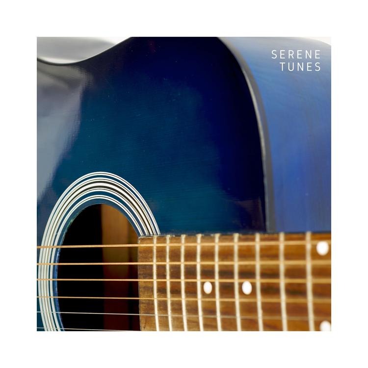 Jazz Guitar's avatar image