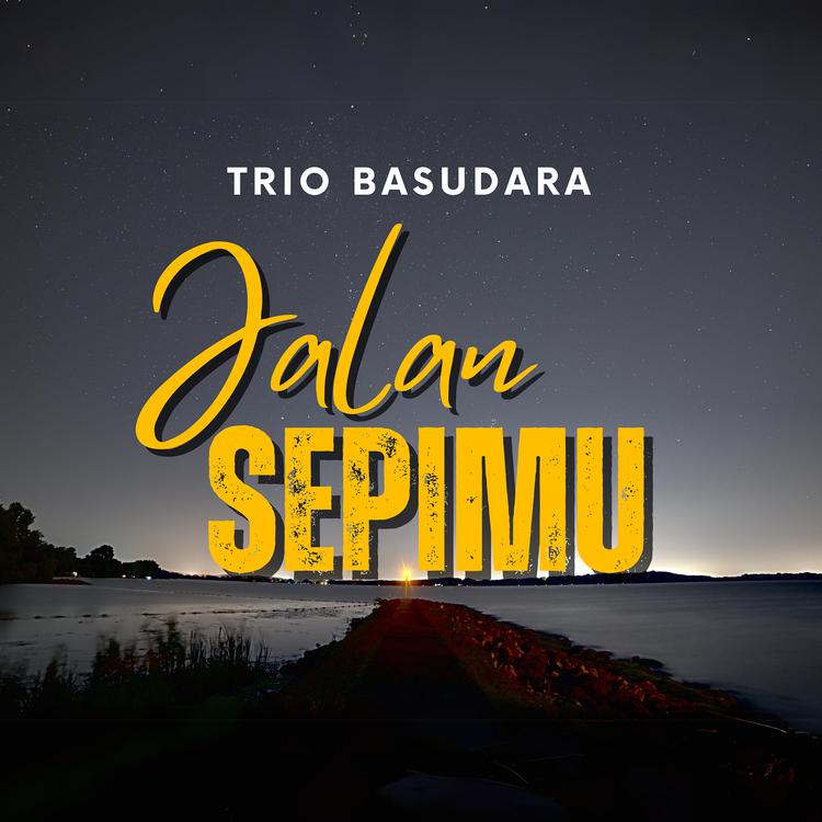 Trio Basudara's avatar image