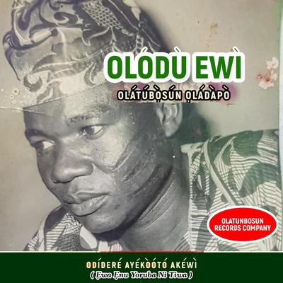 Olodu Ewi By Olatunbosun Oladapo Akewi's cover