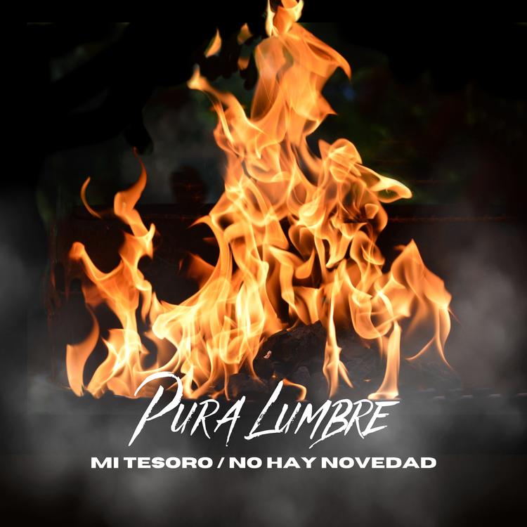 Pura Lumbre's avatar image