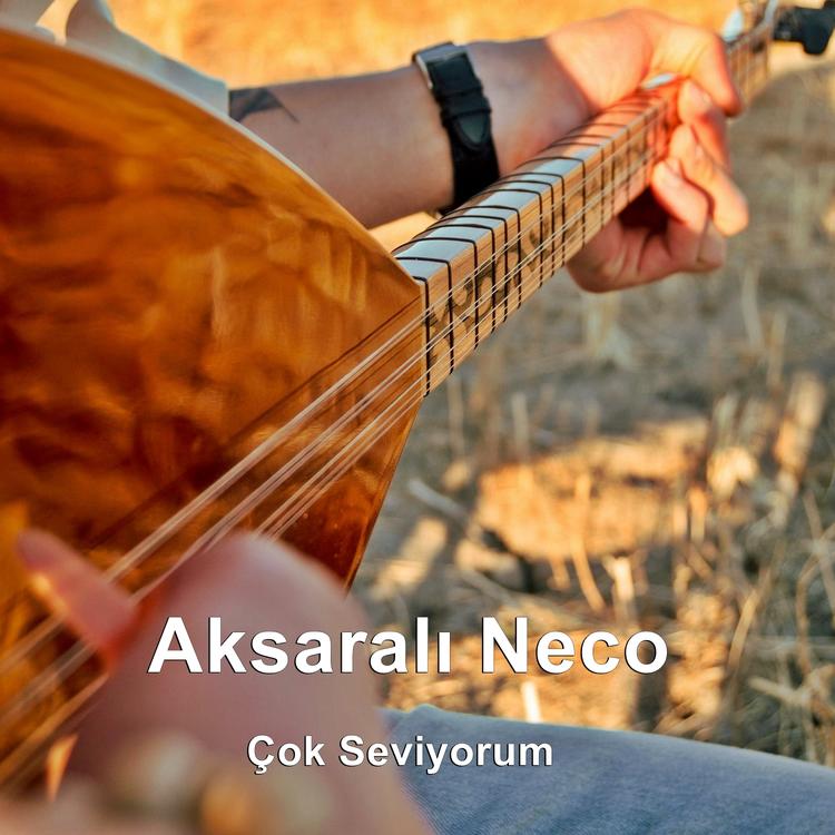 Aksaraylı Neco's avatar image