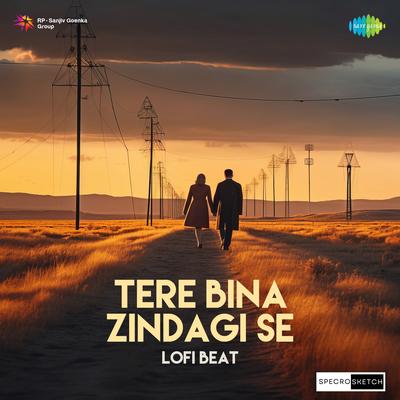 Tere Bina Zindagi Se Lofi Beat's cover