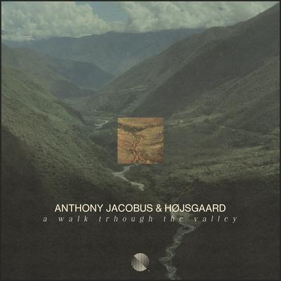 A Walk Through The Valley By Anthony Jacobus, Højsgaard's cover