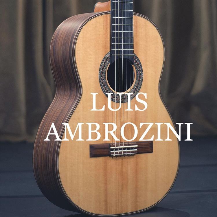 Luis Ambrozini's avatar image