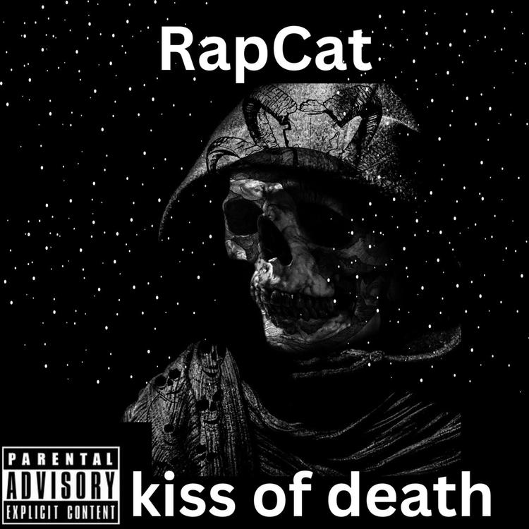 Rapcat's avatar image