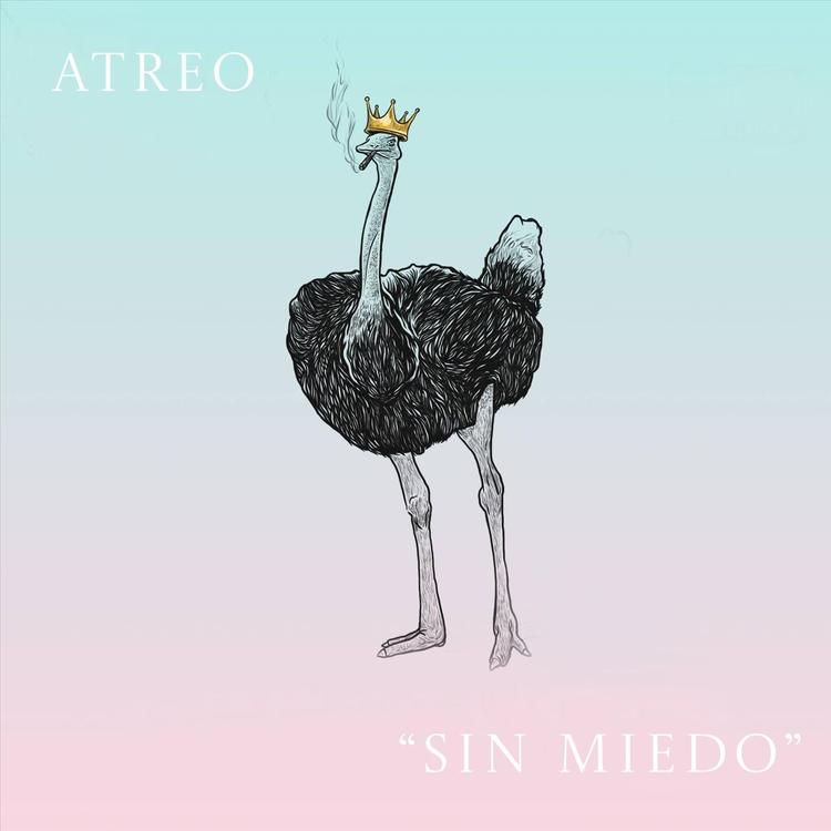 Atreo's avatar image
