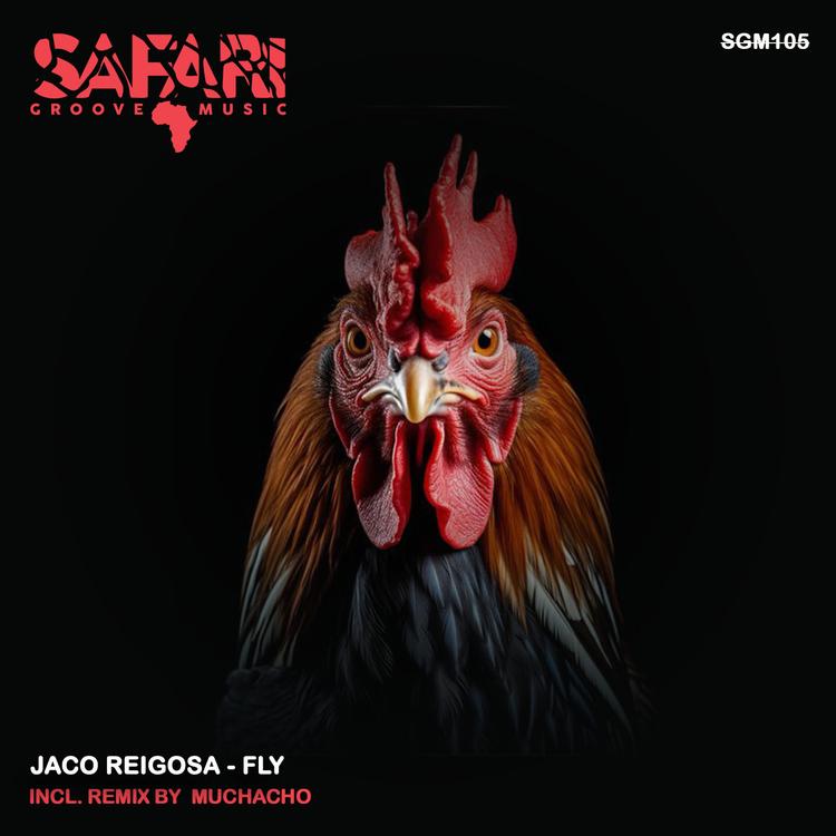 Jaco Reigosa's avatar image