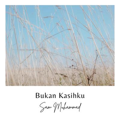 Bukan Kasihku (Acoustic )'s cover