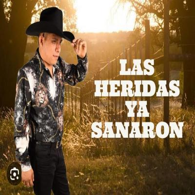 Las heridas ya sanaron's cover