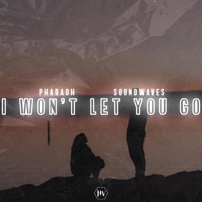 I Won't Let You Go's cover