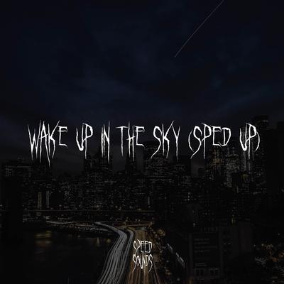 Wake Up in The Sky's cover