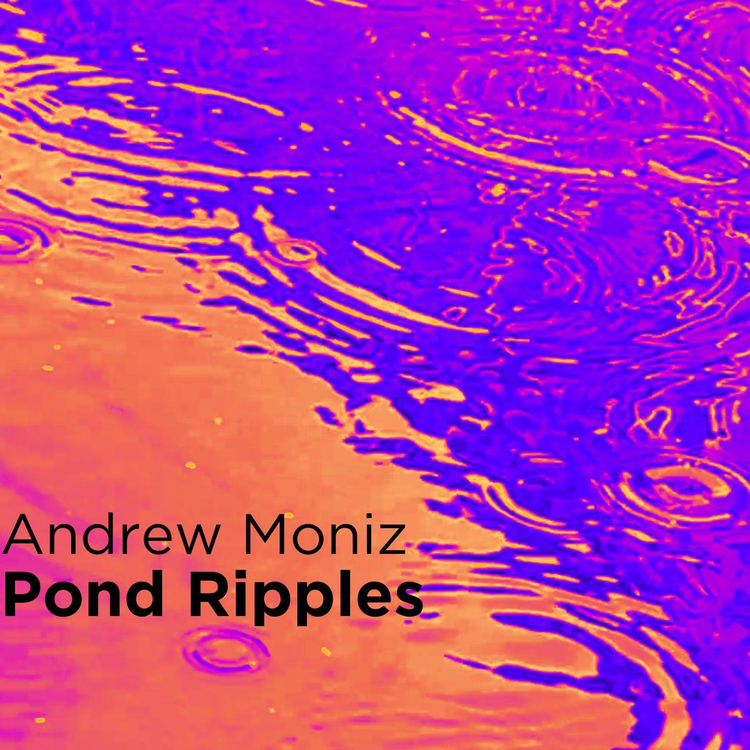 Andrew Moniz's avatar image