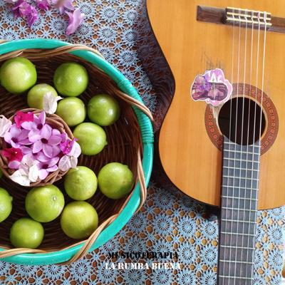 Los caminos de la música (coplas)'s cover