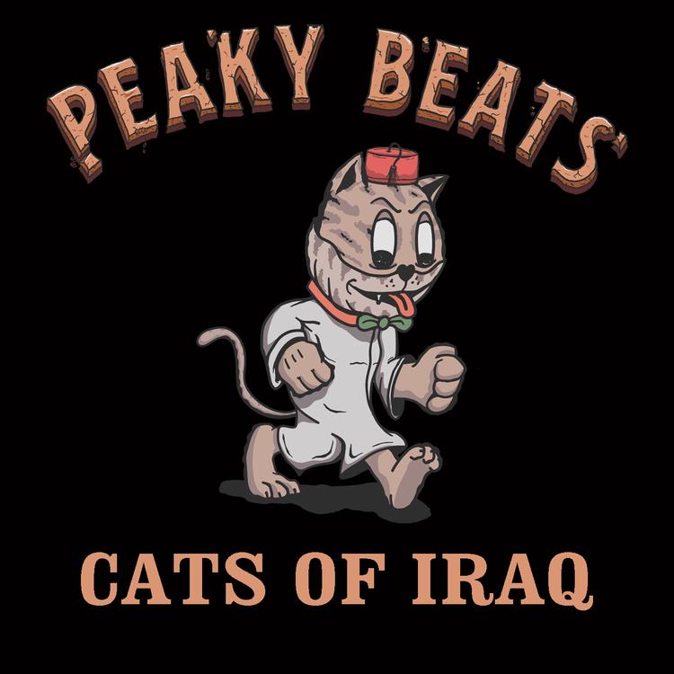 Peaky Beats's avatar image