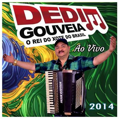 O Rei do Xote do Brasil Ao Vivo - 2014's cover