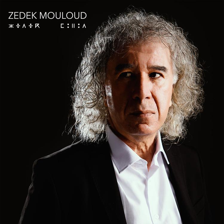 Zedek Mouloud's avatar image