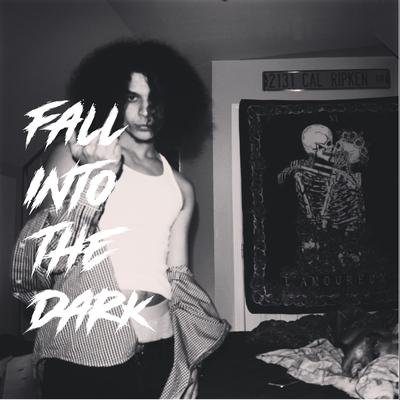 Fall into the Dark By Swami Don The Extraordinaire's cover