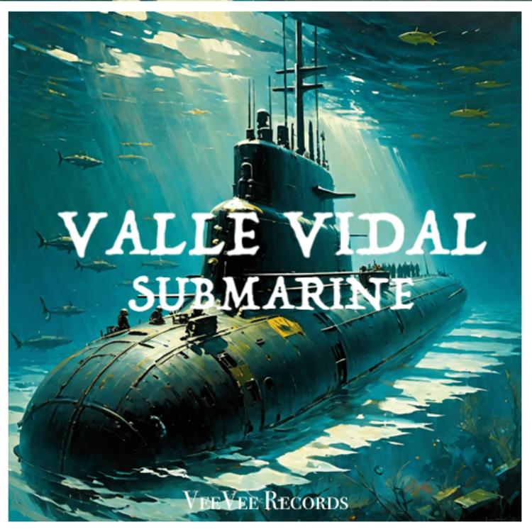 Valle Vidal's avatar image