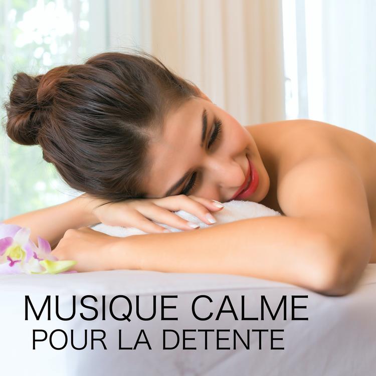 Musique Calme et Relaxation's avatar image