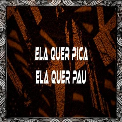 Ela Quer Pica , Ela Quer Pau By DJ W7, MC MN's cover