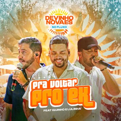 Pra Voltar pro Ex's cover