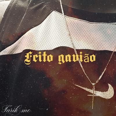 Feito gavião's cover