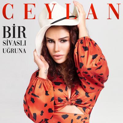 Bir Sivaslı Uğruna's cover