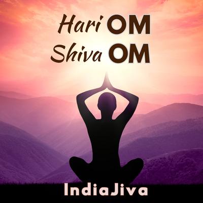 Hari Om Shiva Om's cover