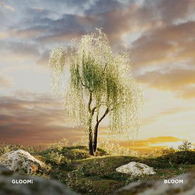 Never Come Down By Gloomi's cover