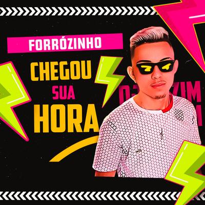 FORROZINHO - CHEGOU SUA HORA By Dj Htzim's cover