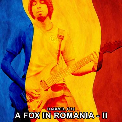 Frunzuliță Mușețel (Acoustic)'s cover