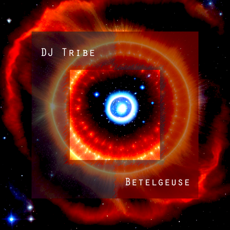 DJ Tribe's avatar image